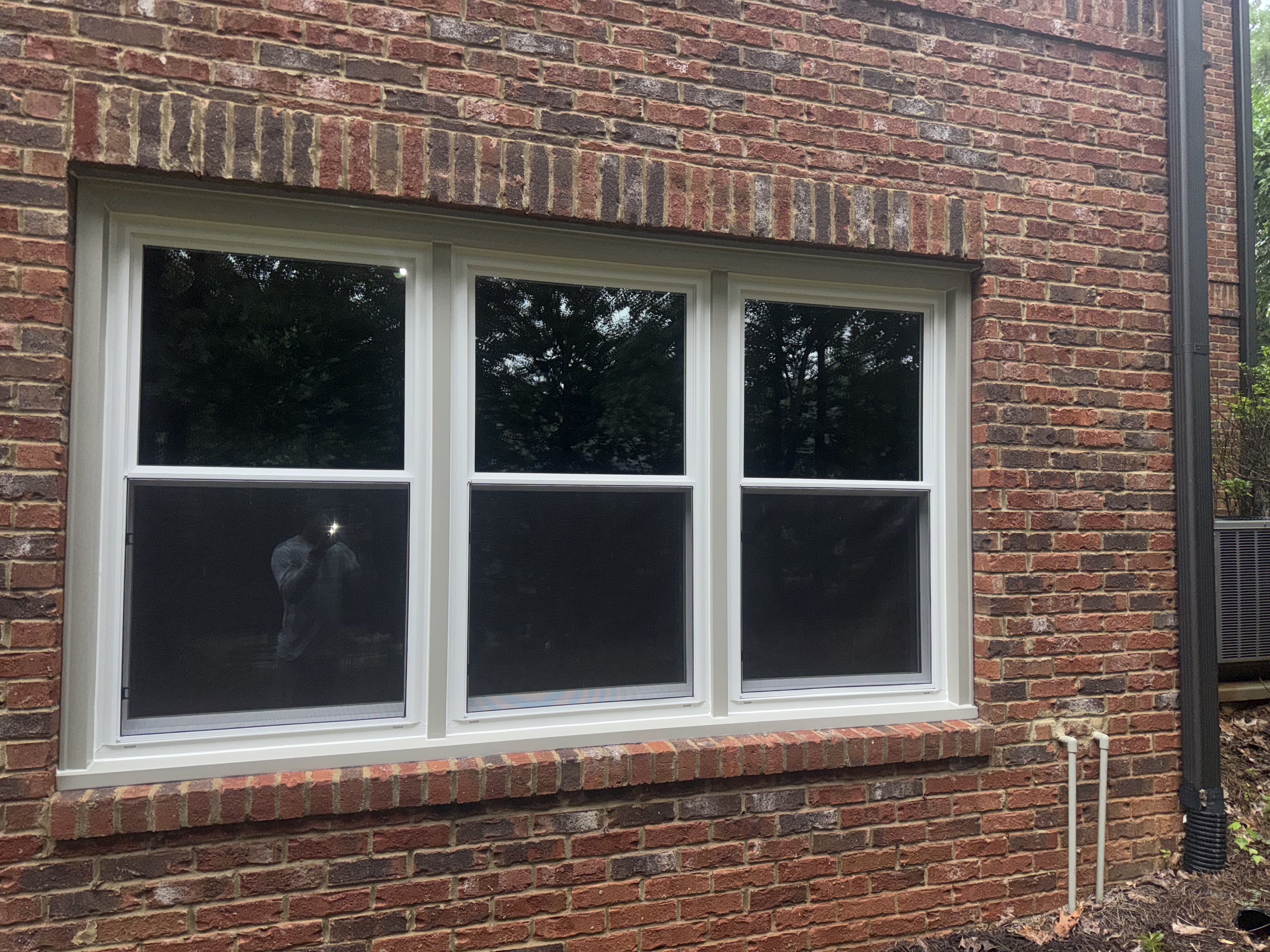 Window 6